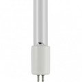 Ilc Replacement for Evoqua Water Technologies W2t836564 replacement light bulb lamp W2T836564 EVOQUA WATER TECHNOLOGIES